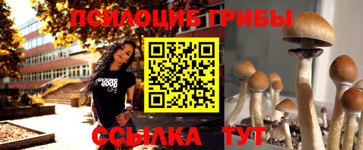 Верхняя Салда  Псилоцибиновые грибы мицелий  Вход с VPN 