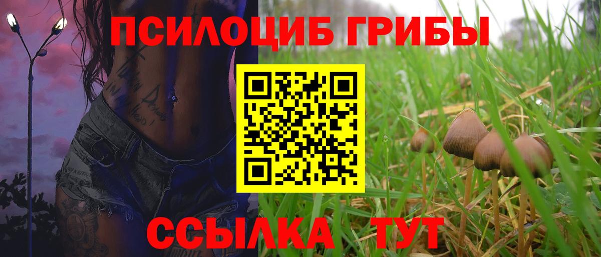 Псилоцибиновые грибы мухоморы Верхняя Салда
